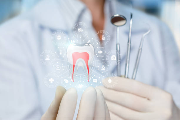 Holistic Dental Care Services